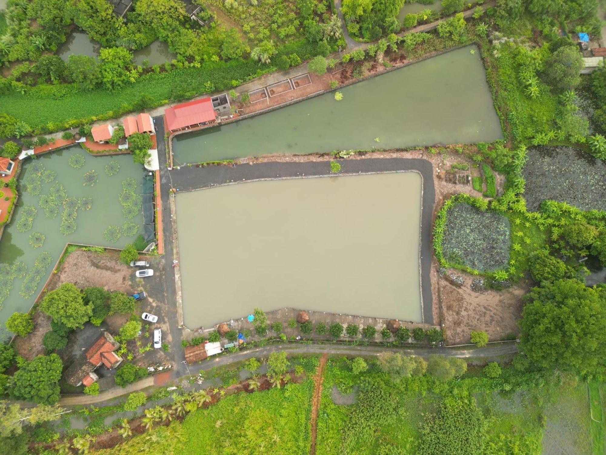 Tam Coc Cat Luong Homestay Ninh Binh Exteriér fotografie